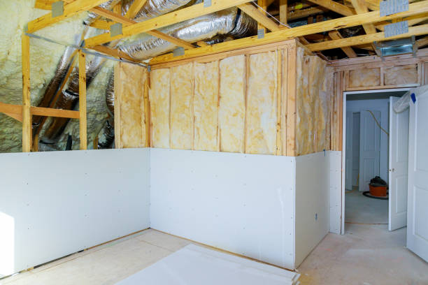 Best Insulation Maintenance and Repair in Roanoke, VA