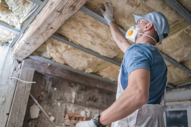 Best Insulation for Specific Applications in Roanoke, VA