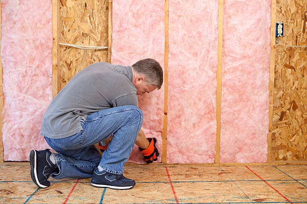 Best Insulation Installation Services in Roanoke, VA