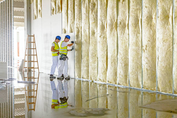 Best Insulation Materials and Products in Roanoke, VA